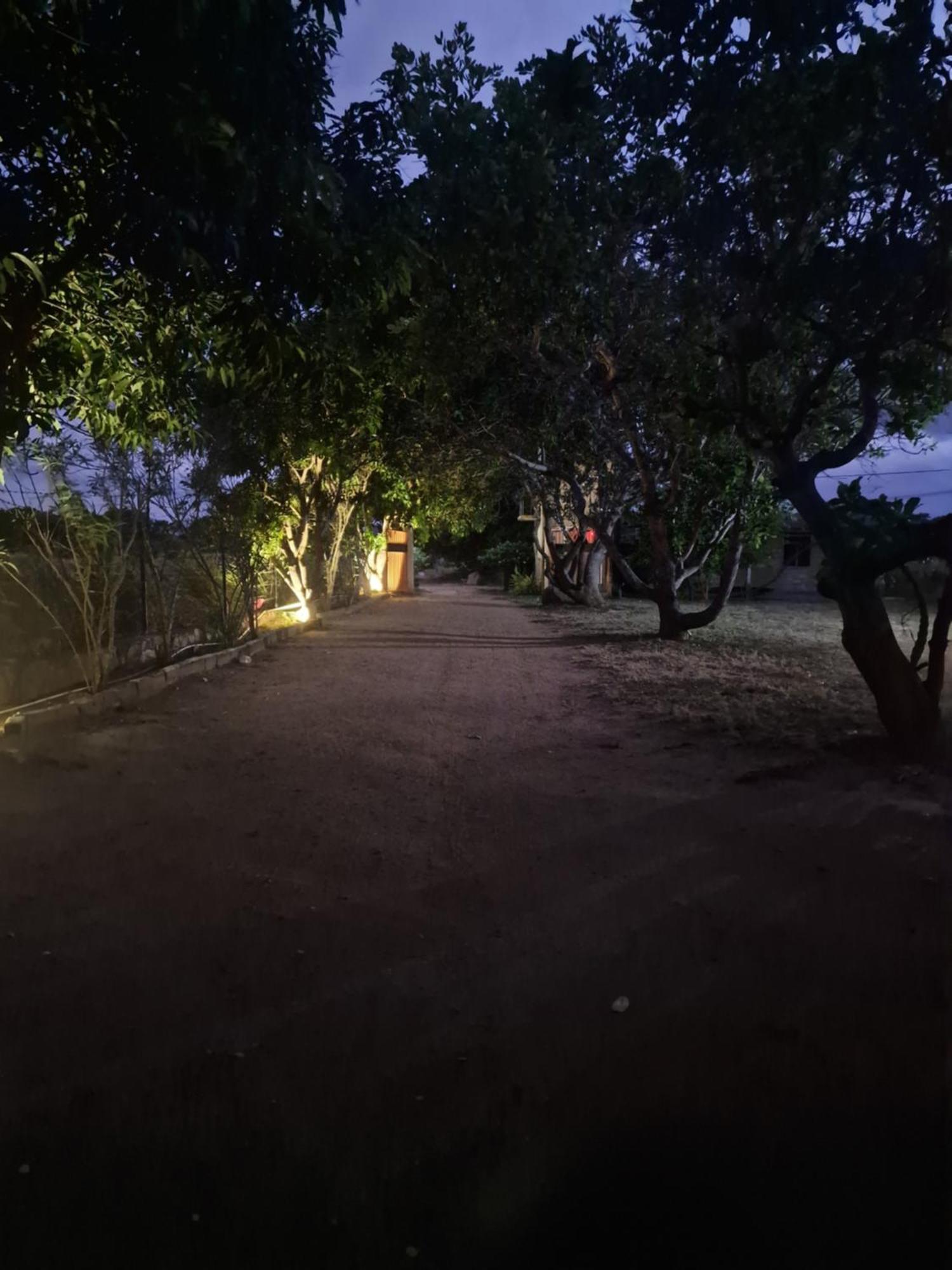 Birdwing Sigiriya Hotel Exterior photo